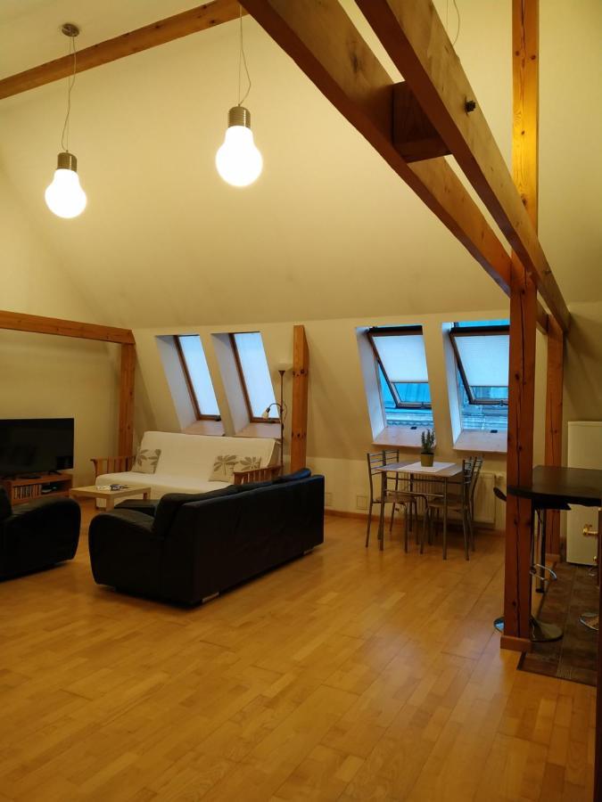 Sunlit Loft Apartment ריגה מראה חיצוני תמונה