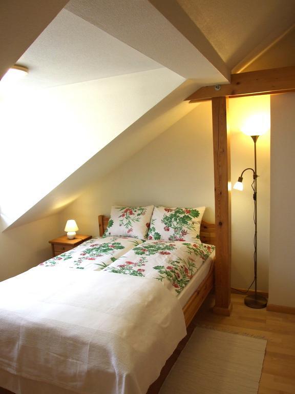 Sunlit Loft Apartment ריגה מראה חיצוני תמונה